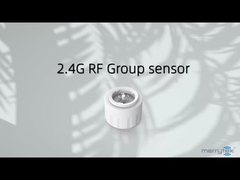 2.4G Wireless Networking Controller geeignet für schlanke LED-Lösungen